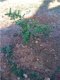 9085490f-Picture 035.jpg